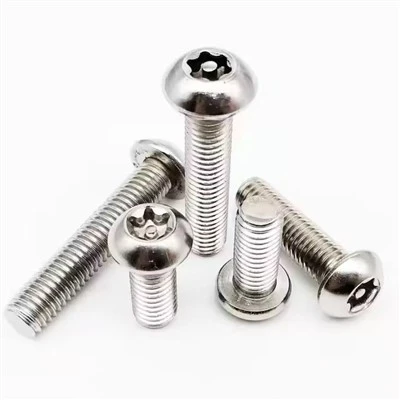 Torx Head Anti-theft Screw
